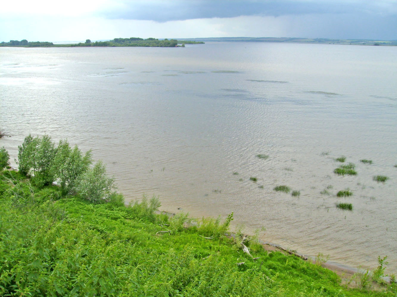 Куйбышевское водохранилище, image of landscape/habitat.