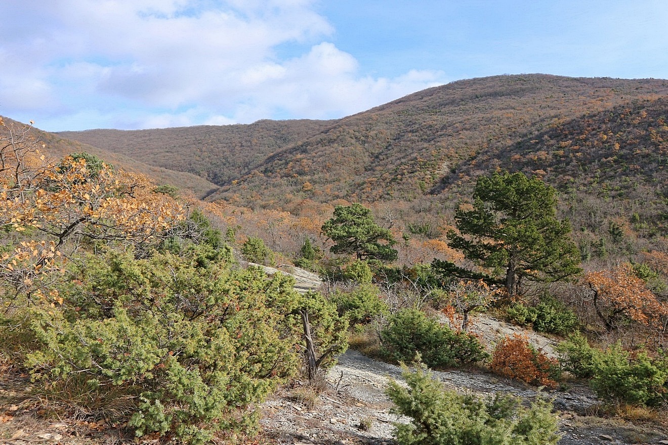 Глебовка, image of landscape/habitat.
