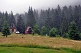 Плоскогорье Равна Тара, image of landscape/habitat.