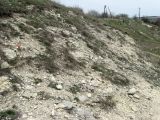 Марьино, image of landscape/habitat.