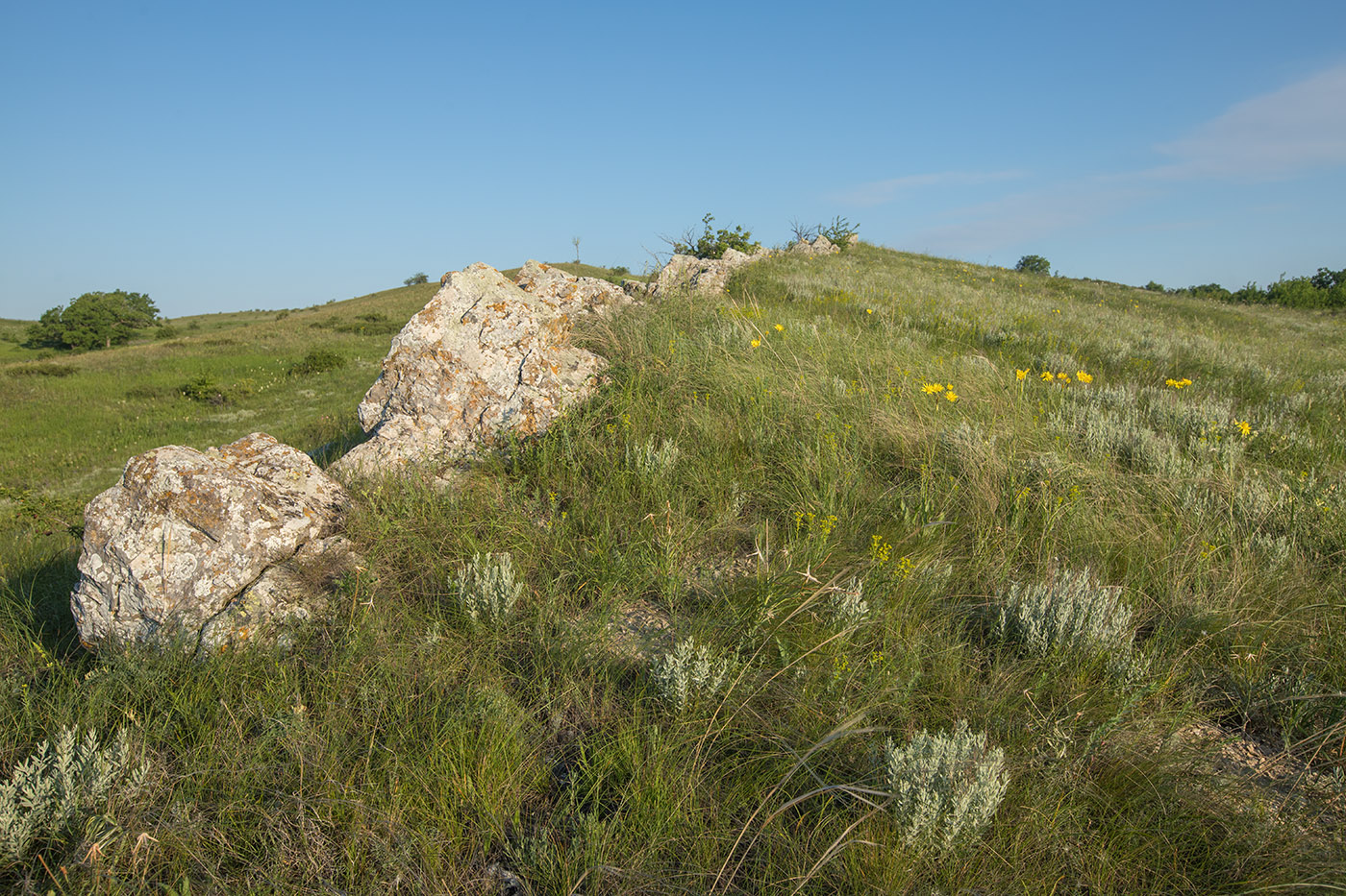 Чёрная балка, image of landscape/habitat.