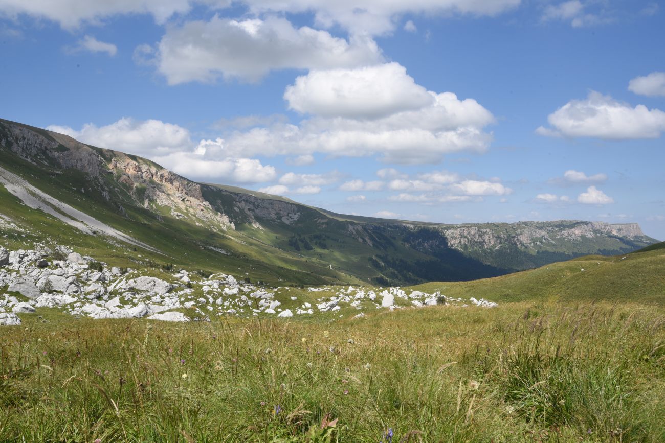 Гузерипльский перевал, image of landscape/habitat.