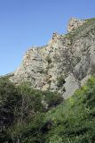 Image of landscape