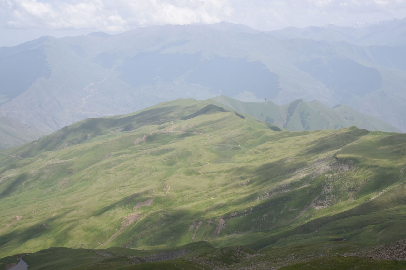 2 км от вершины горы Заинкорт, image of landscape/habitat.