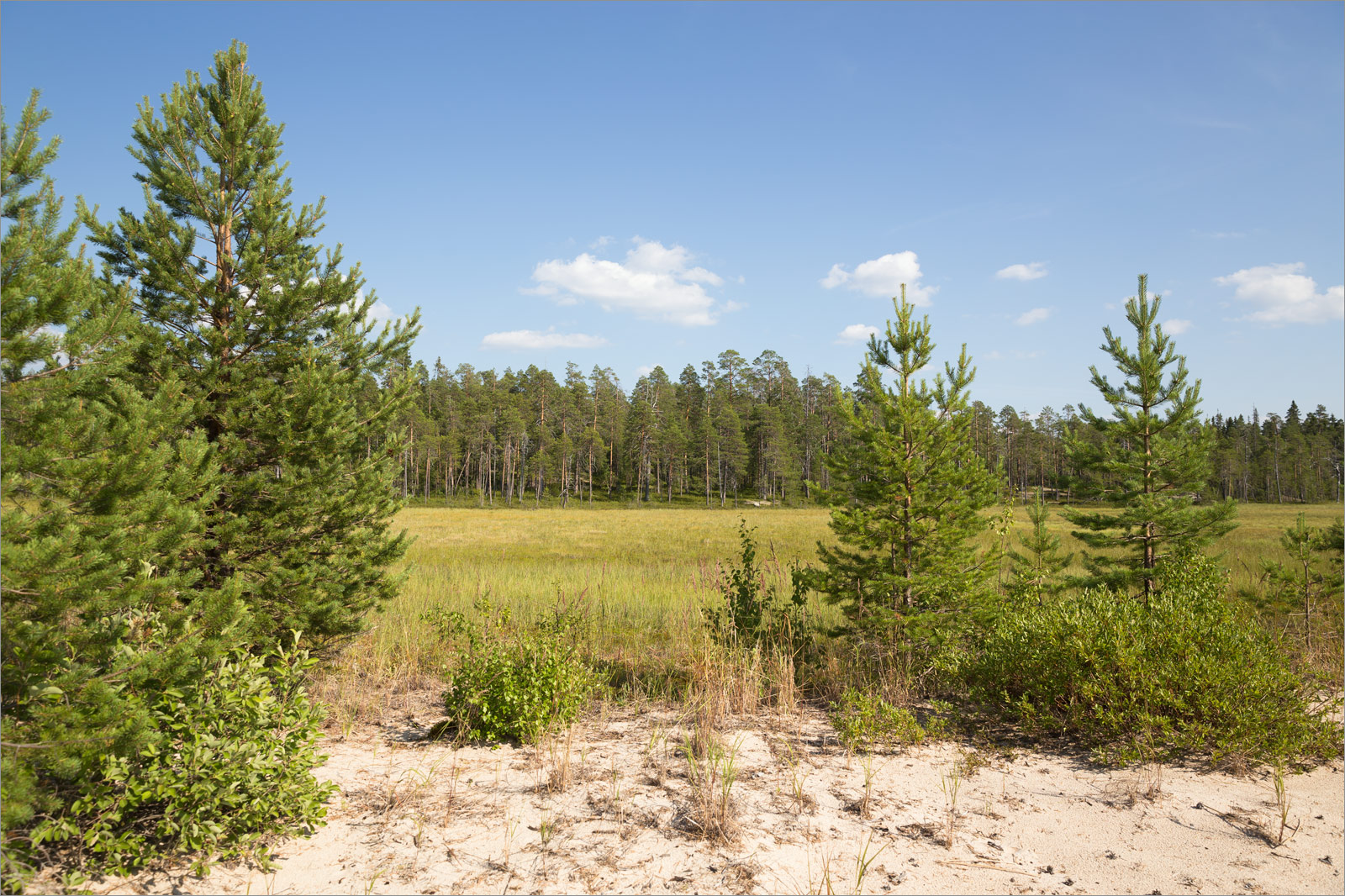 Топозеро, image of landscape/habitat.