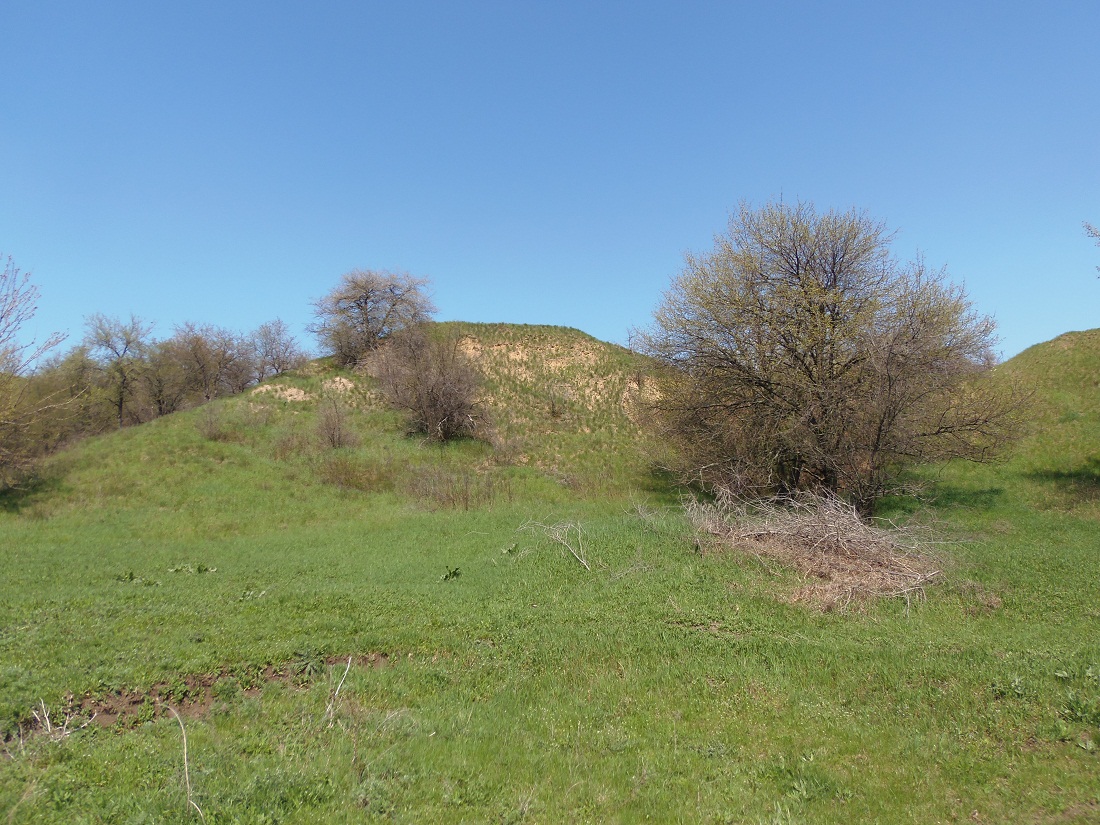 Балка Партизанская, image of landscape/habitat.