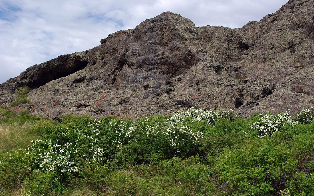 Мелкосопочник, image of landscape/habitat.