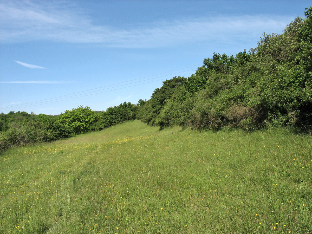 Бад-Мюнстерайфель, image of landscape/habitat.