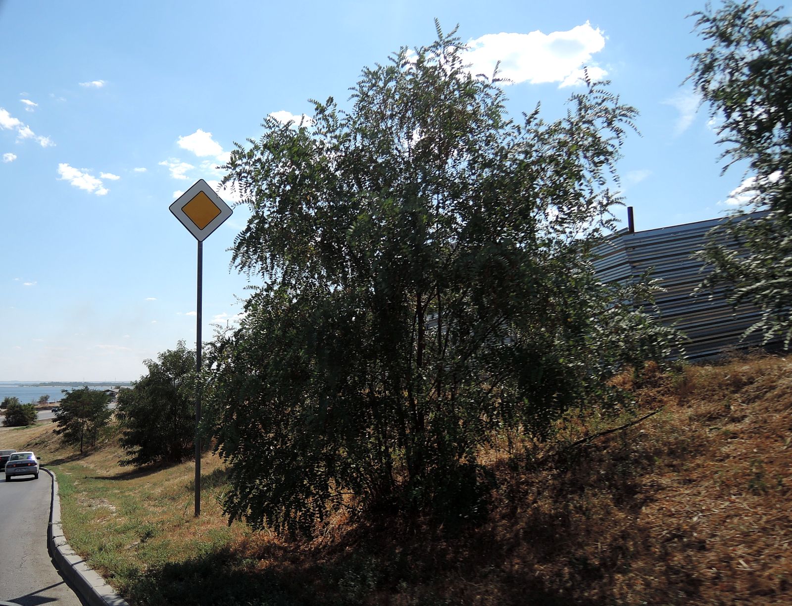 Волгоград, image of landscape/habitat.