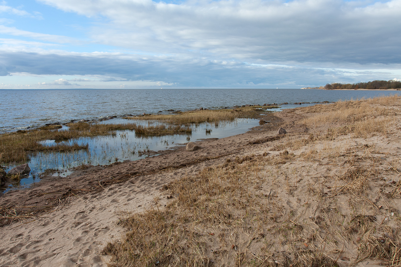 Западный Котлин, image of landscape/habitat.