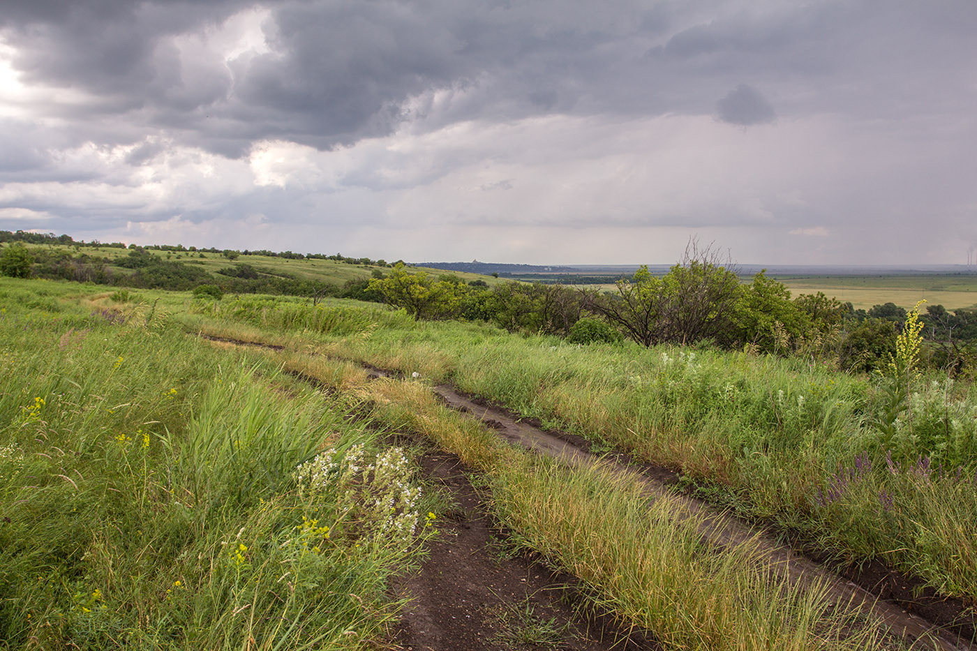 Аксайская степь, image of landscape/habitat.
