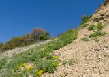 Большой Утриш, гора Солдатская, image of landscape/habitat.