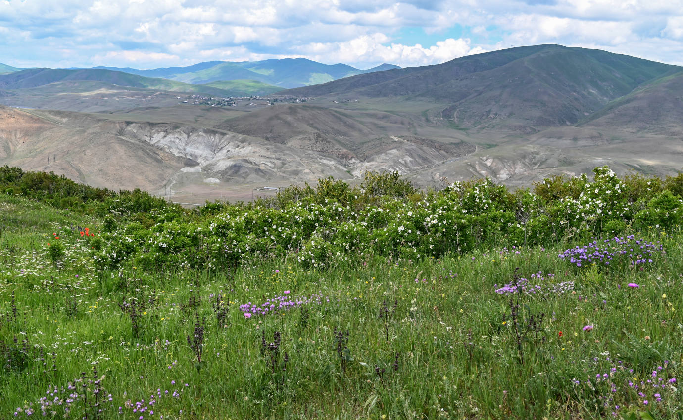 Гора Артаниш, image of landscape/habitat.