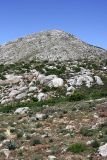Image of landscape