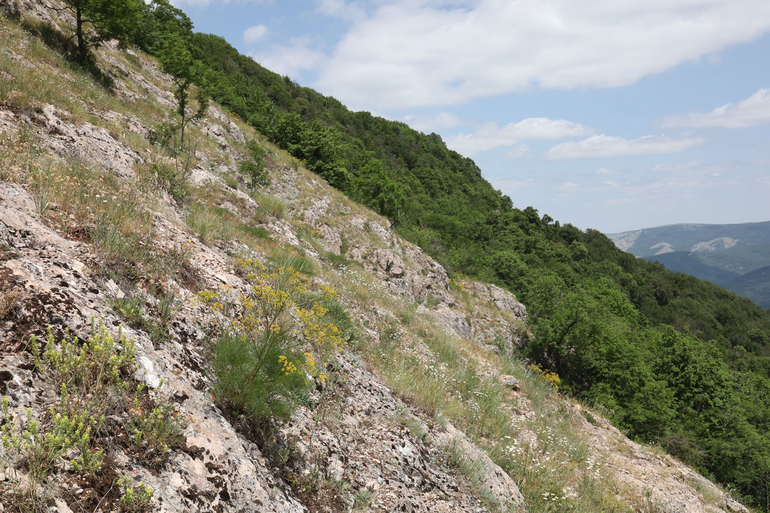 Чатырдаг, image of landscape/habitat.