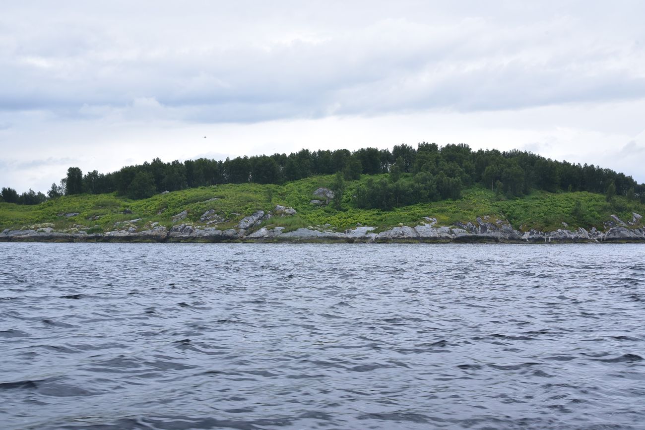 Остров Большой Грязный, image of landscape/habitat.