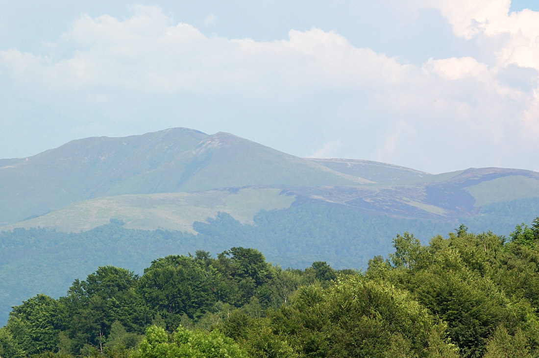 Боржавский хребет, изображение ландшафта.
