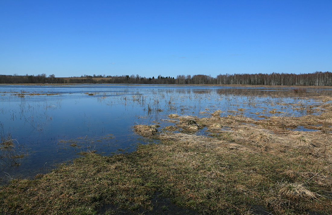 Антипино, image of landscape/habitat.