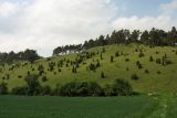 Бад-Мюнстерайфель, image of landscape/habitat.