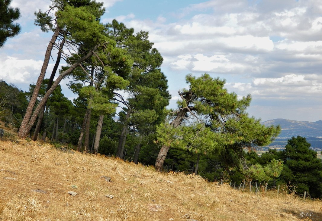 Аbantos (гора стервятников), изображение ландшафта.