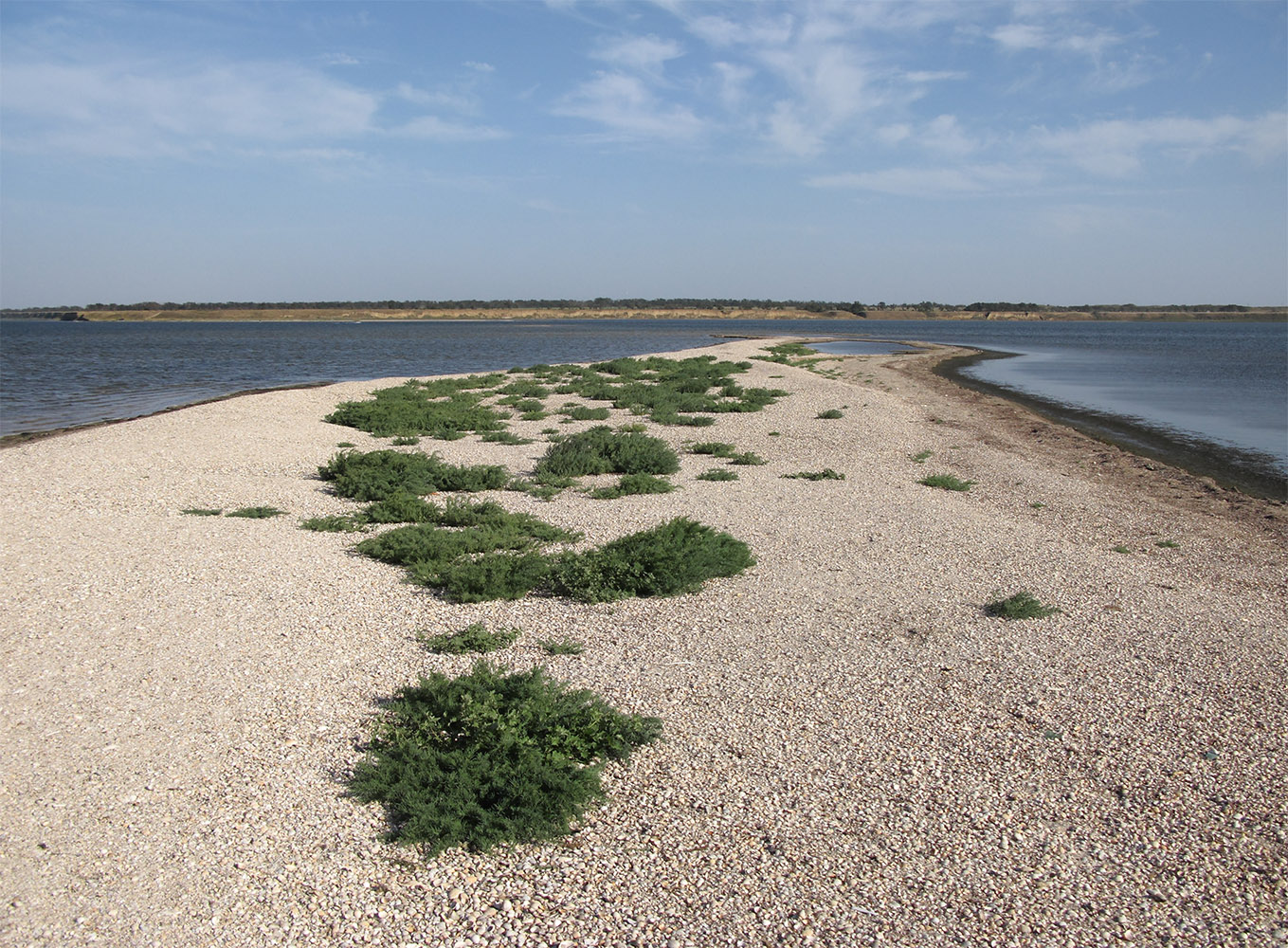 Коса Голенькая, image of landscape/habitat.