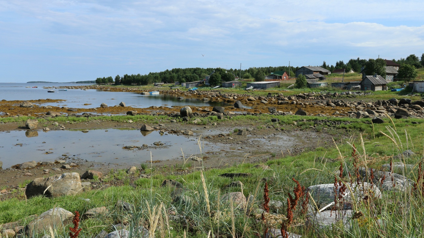 Ковда, image of landscape/habitat.