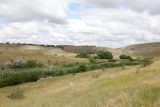 Image of landscape