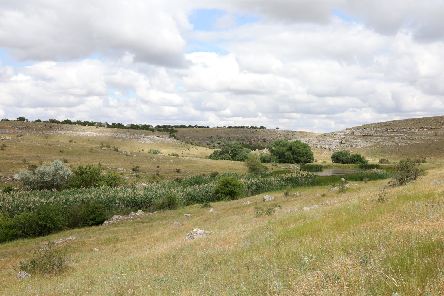 Долина реки Чуюнчи, image of landscape/habitat.