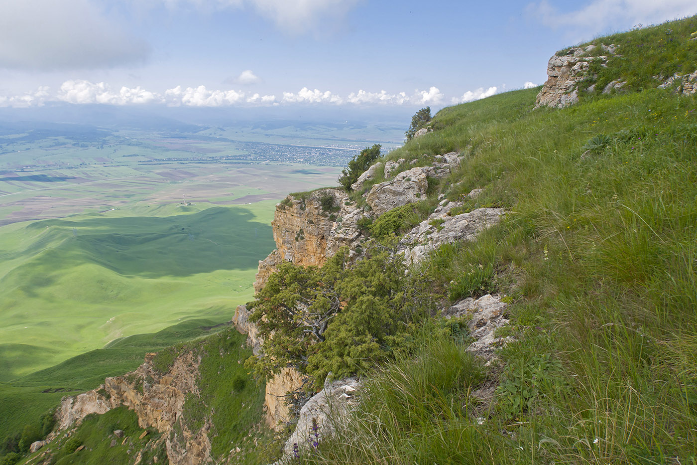 Джангур, image of landscape/habitat.