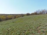 Image of landscape
