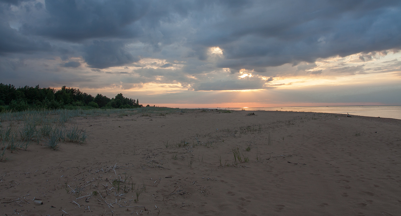 Большая Ижора, image of landscape/habitat.