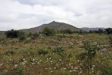 Image of landscape