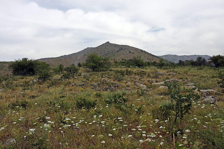 Гора Нурбай, image of landscape/habitat.