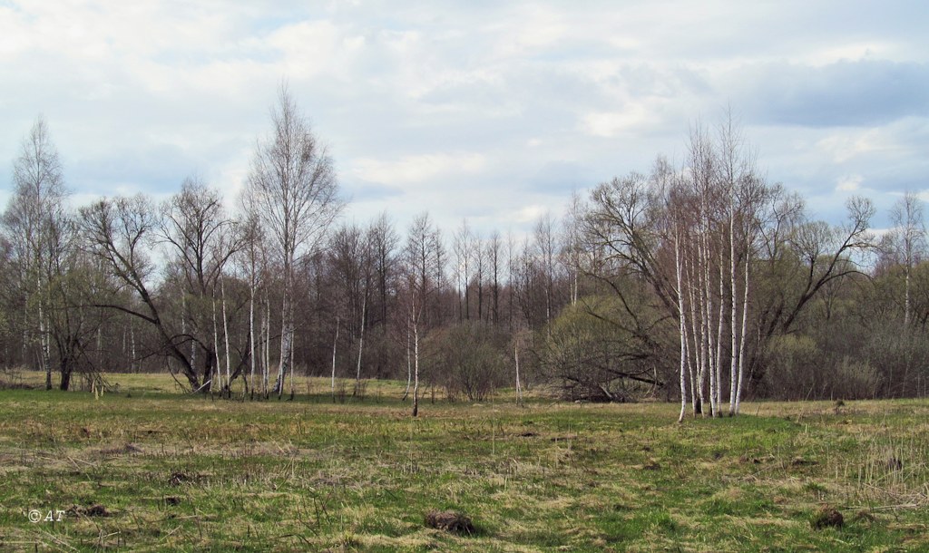 Каспля, image of landscape/habitat.