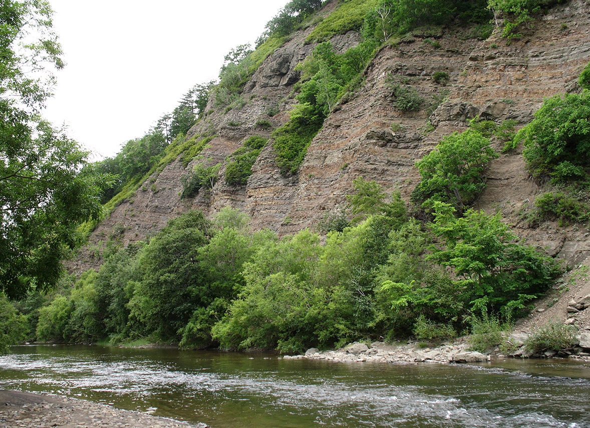 Томари, image of landscape/habitat.