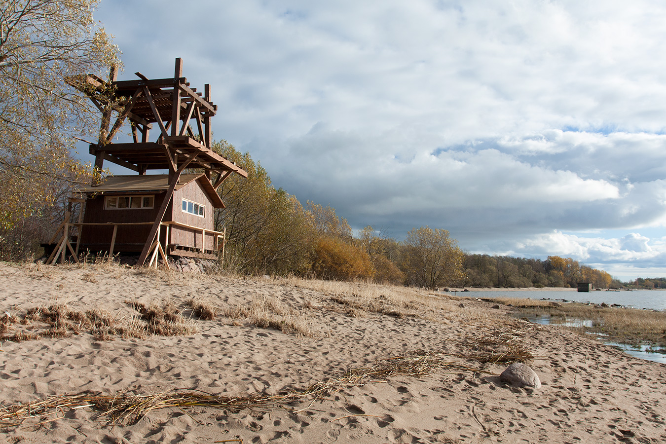 Западный Котлин, image of landscape/habitat.