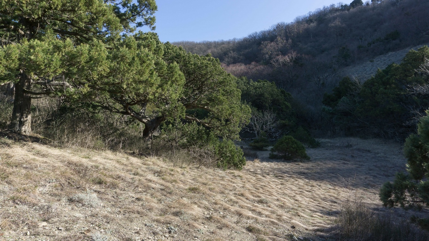 Мыс Большой Утриш, image of landscape/habitat.