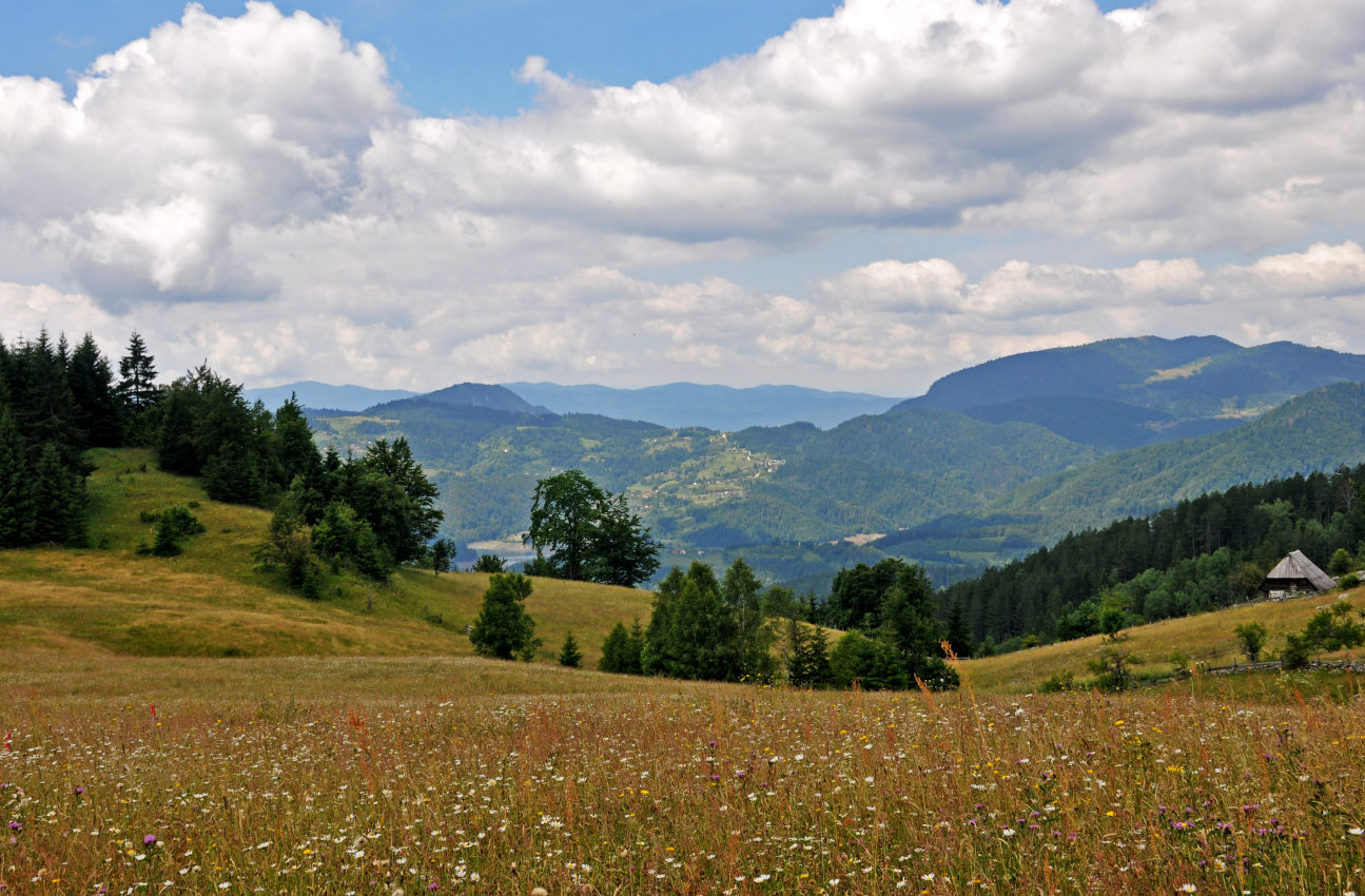 Плоскогорье Равна Тара, изображение ландшафта.