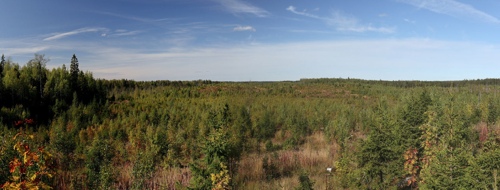 Окрестности Ихалы, image of landscape/habitat.