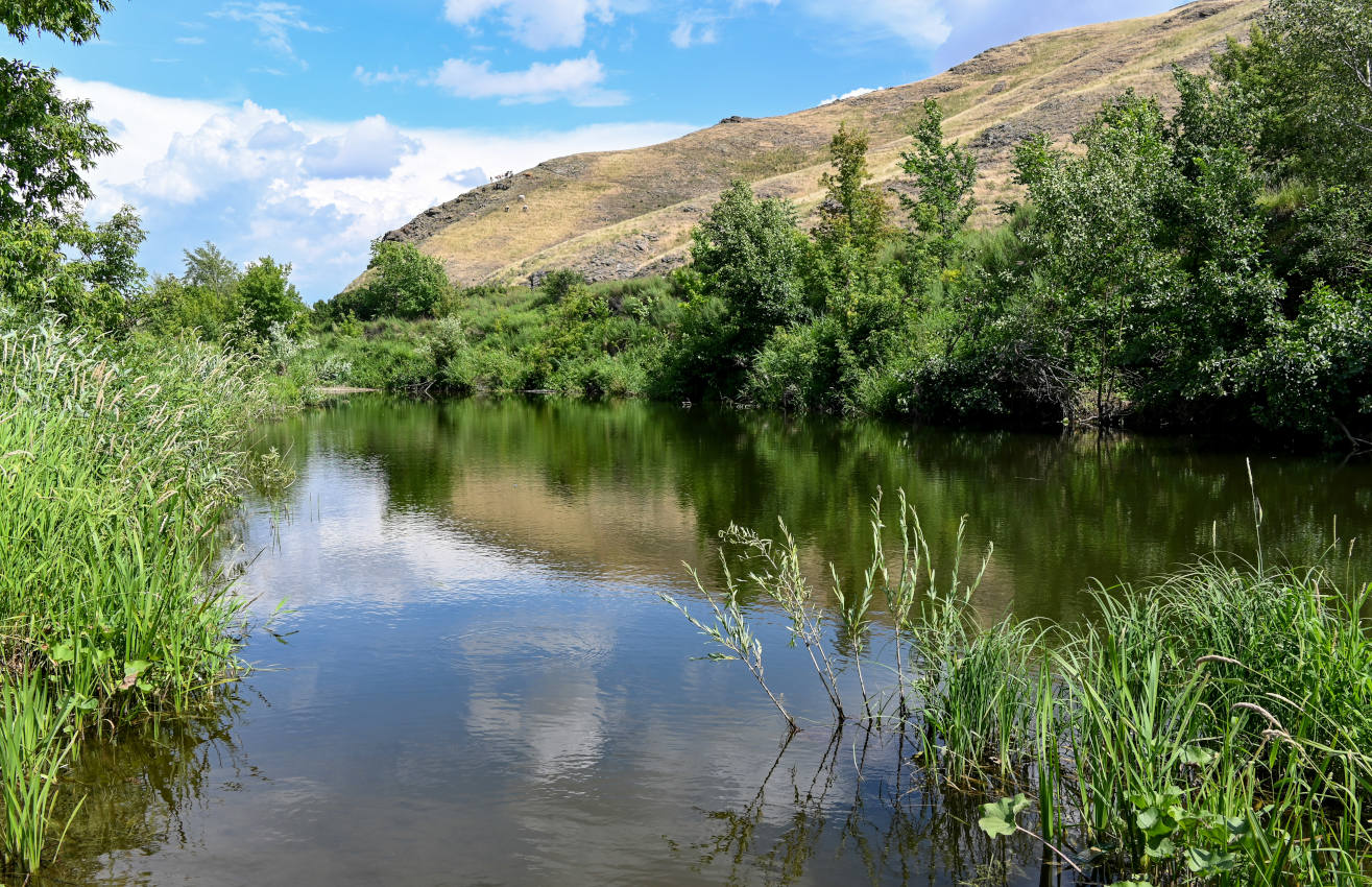 Губерлинские горы, image of landscape/habitat.