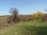 Image of landscape