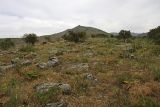 Image of landscape