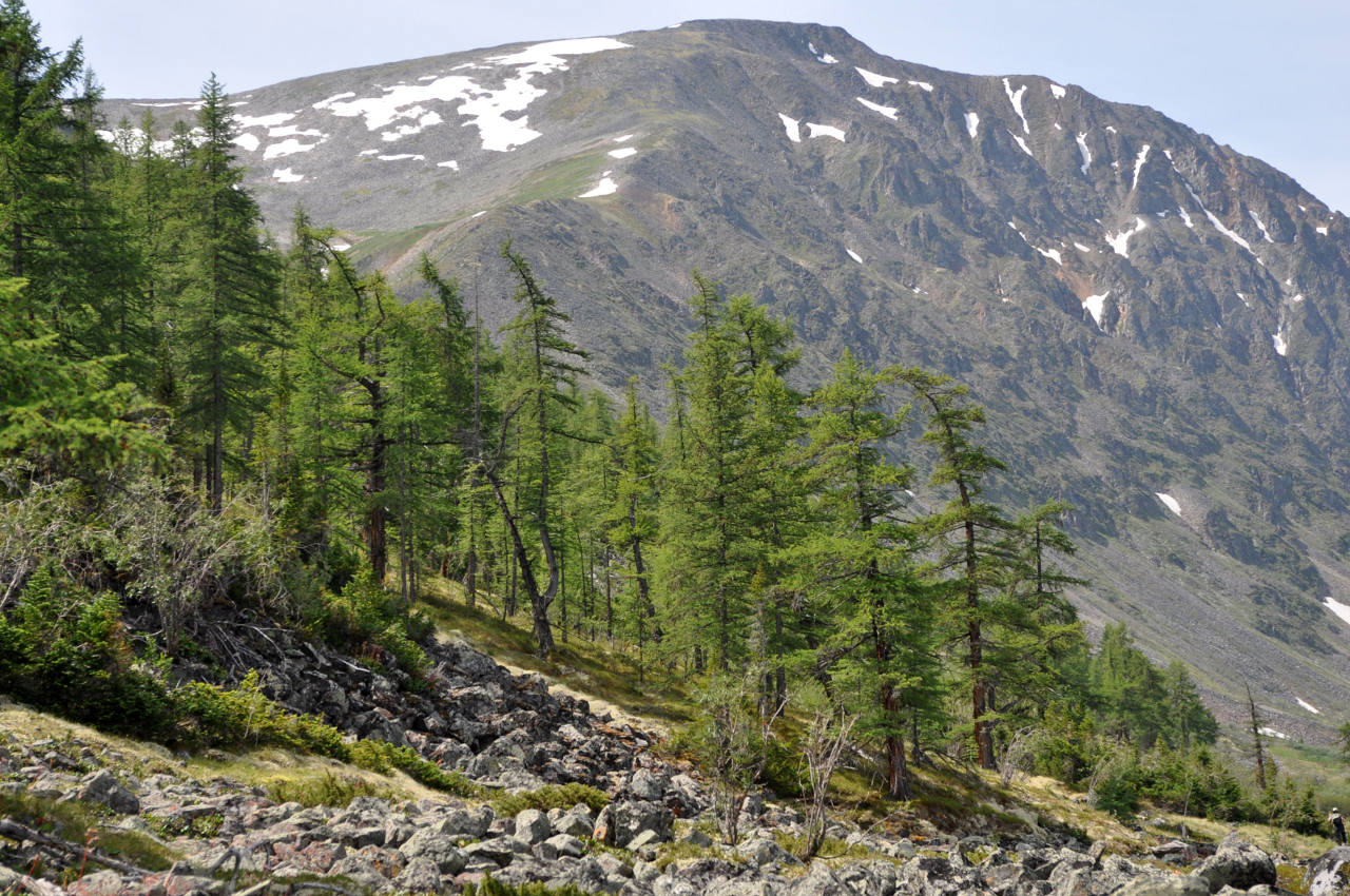 Падь Хи-Гол (Долина вулканов), image of landscape/habitat.