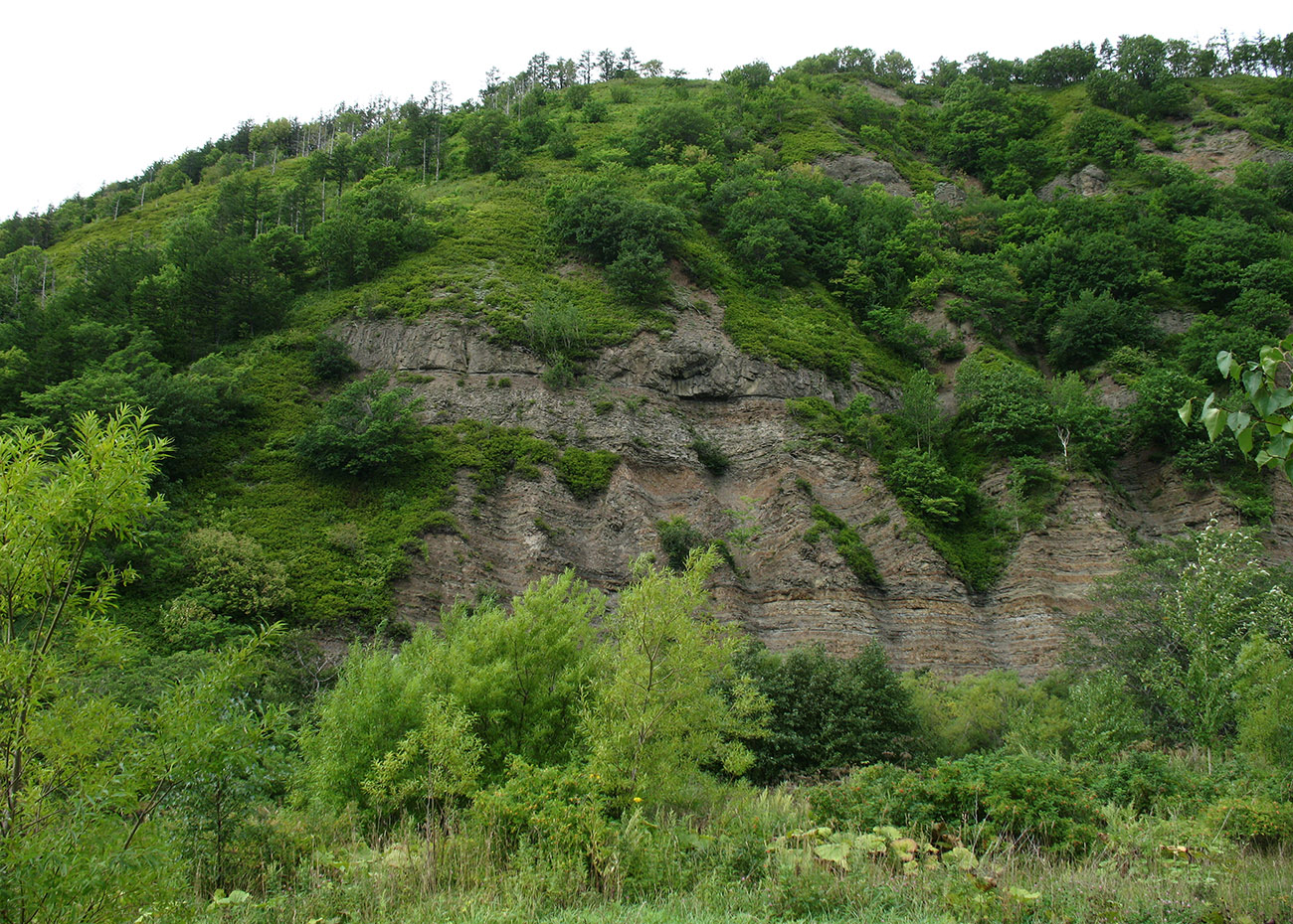 Томари, image of landscape/habitat.
