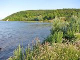 Image of landscape