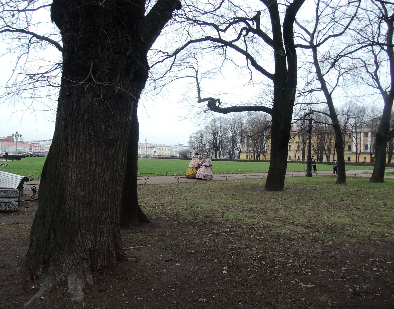 Александровский сад (СПб), изображение ландшафта.