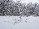 Темрючки, image of landscape/habitat.