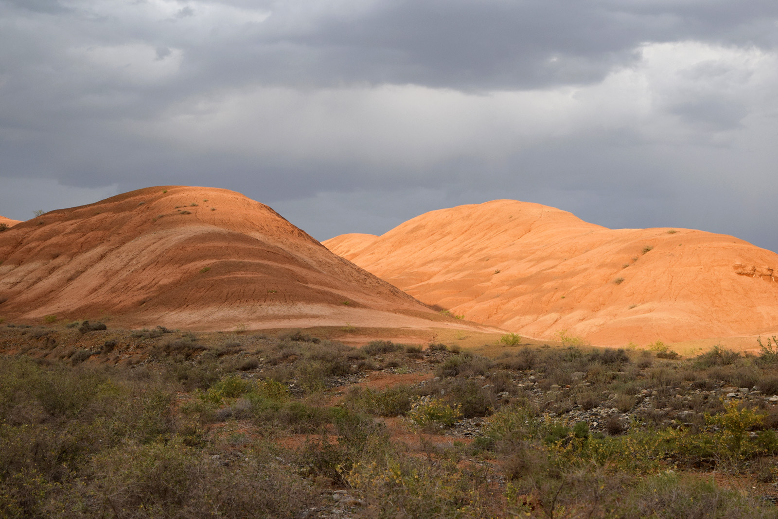 Горы Бургана, image of landscape/habitat.