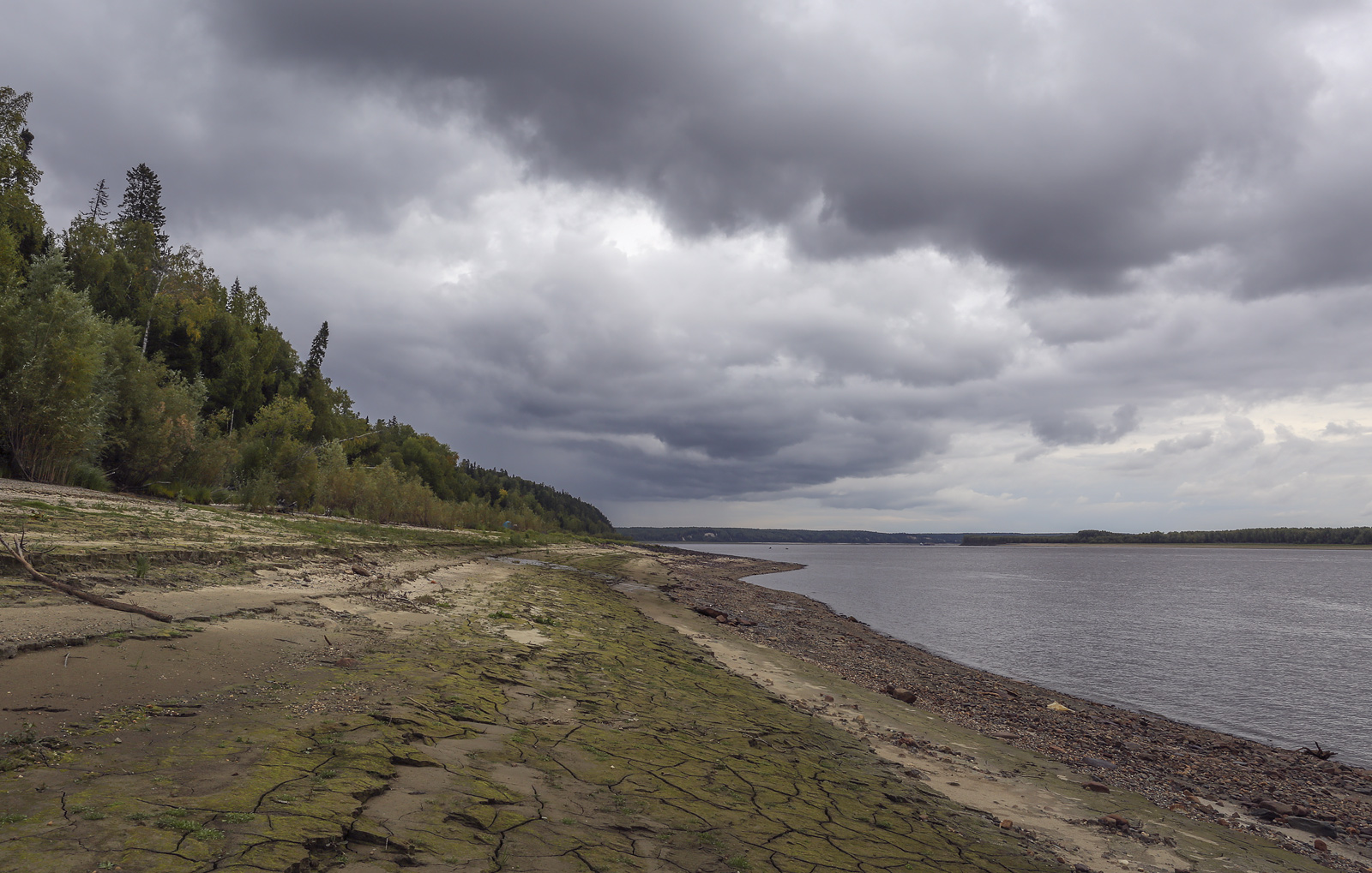 Окрестности Горнореченска, image of landscape/habitat.