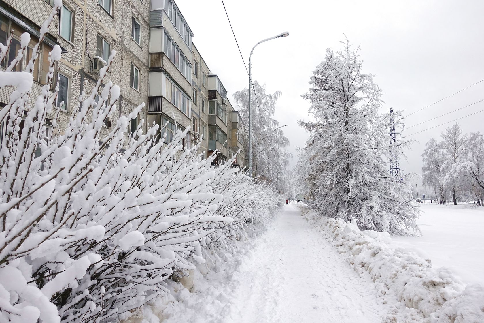 Электрогорск и его окрестности, изображение ландшафта.